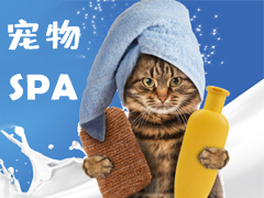 超值宠物美容SPA美毛护理