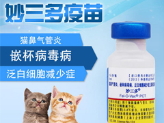宠物猫需不需要打疫苗，打疫苗需要注意什么
