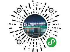 <b>千宠百爱宠物医院微信小程序线上商城开通啦！</b>