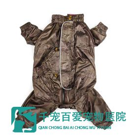 萌狗外套