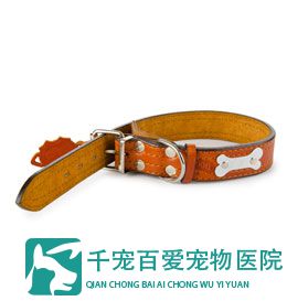 狗带